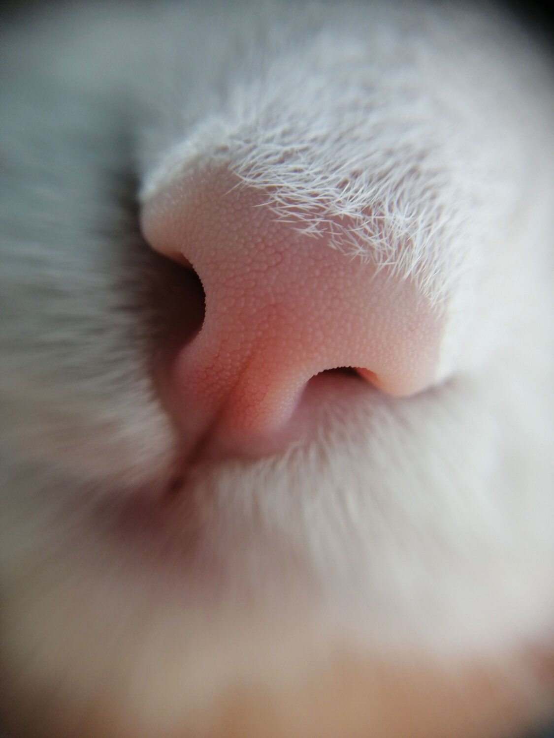 Photo #6707277