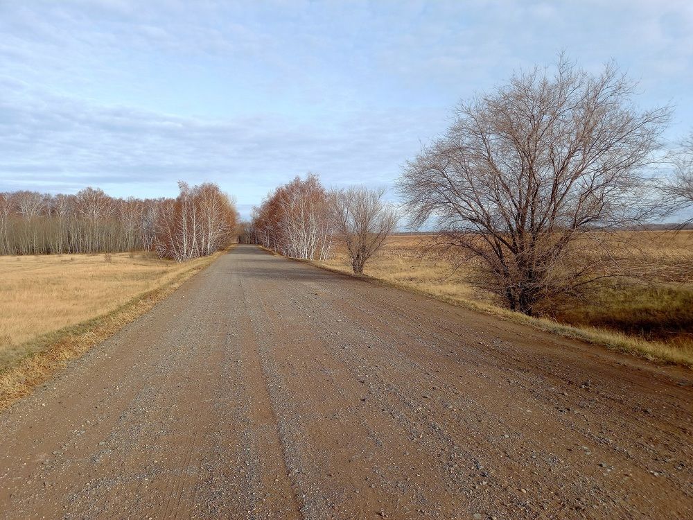 Дорога в село Рощина