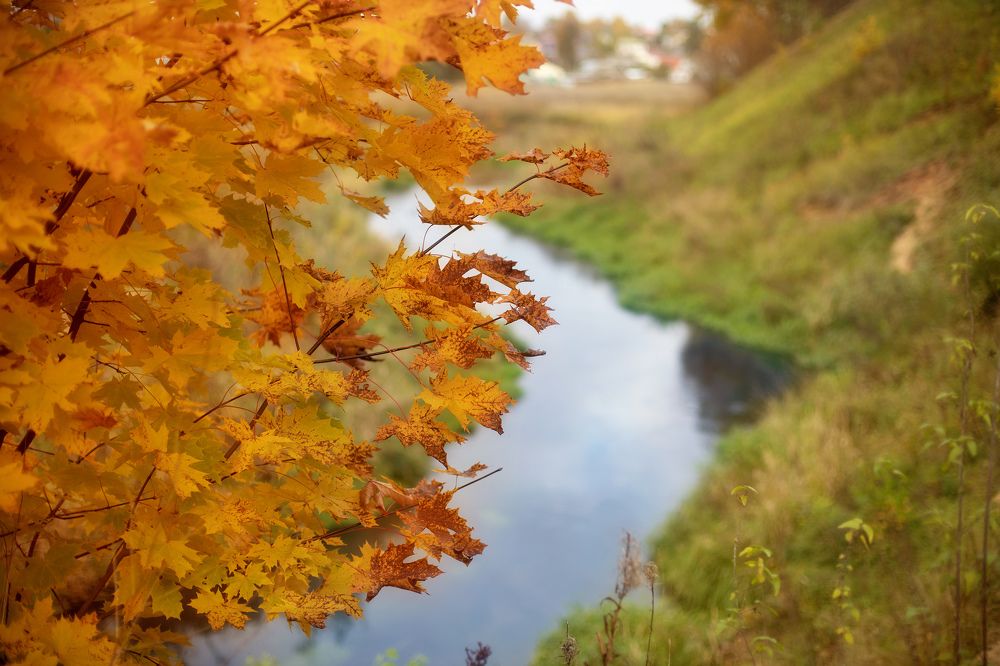 Photograph by Наталья Арутюнова