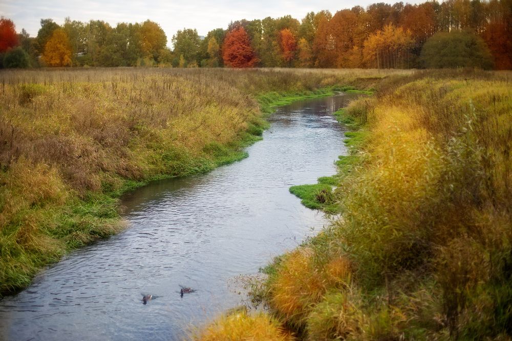 Photograph by Наталья Арутюнова