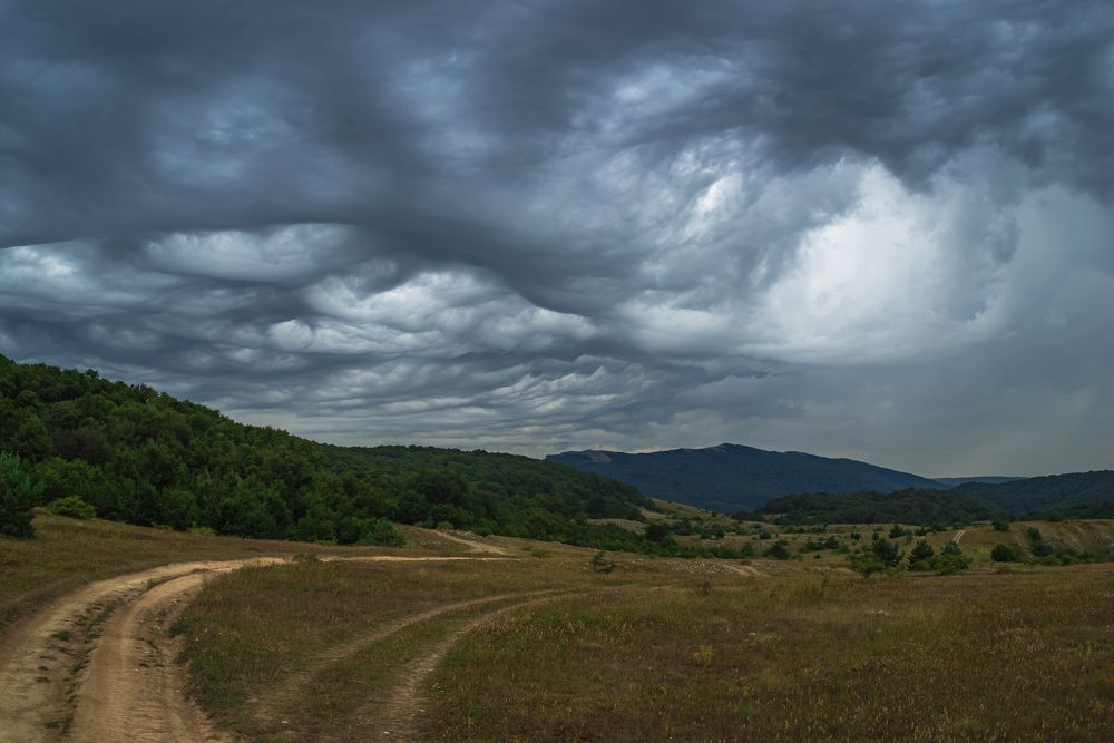 Фотография автора Дмитрий