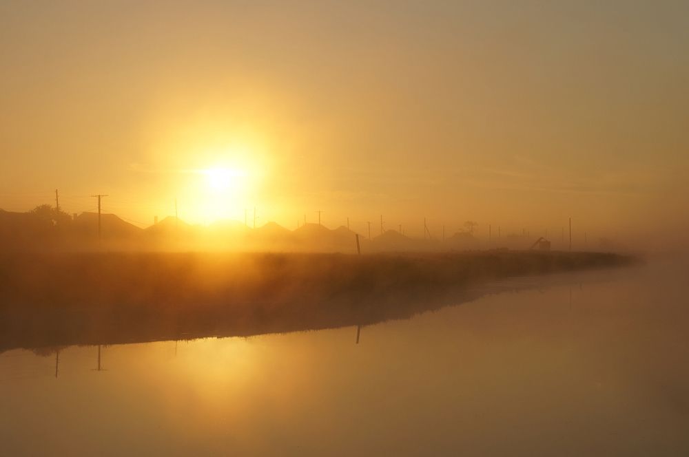 Photograph by Анастасия Шайдорова