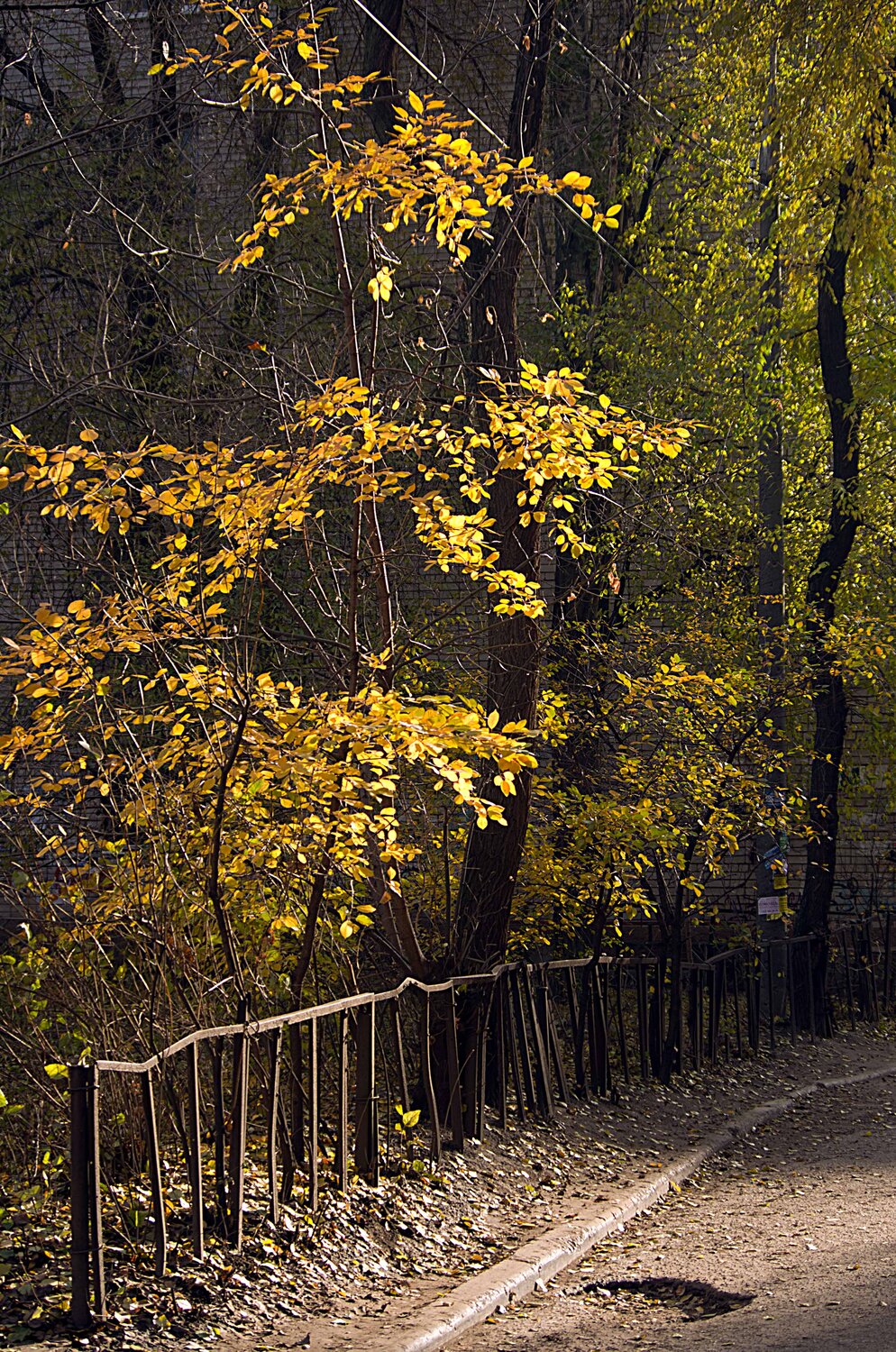 Photo #6707310