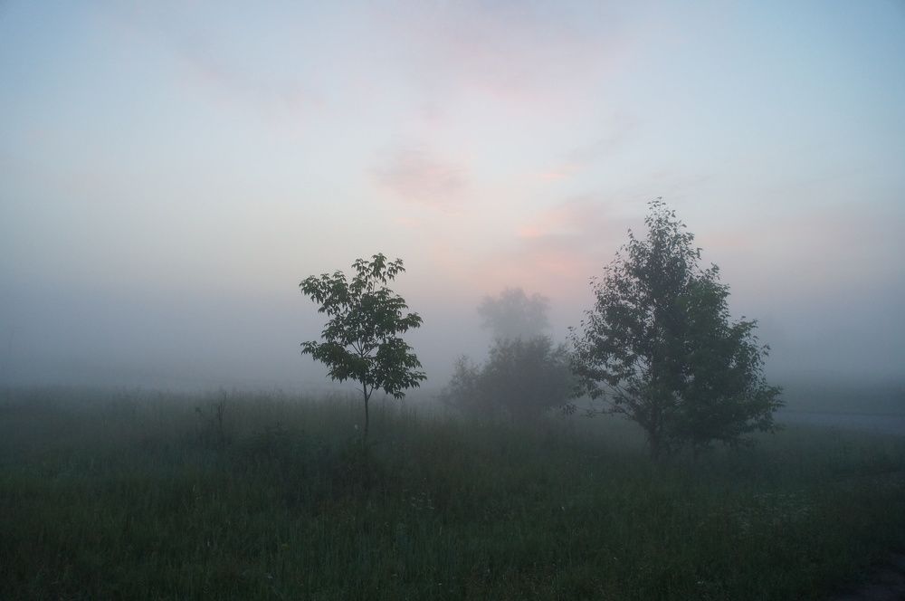 Photograph by Анастасия Шайдорова