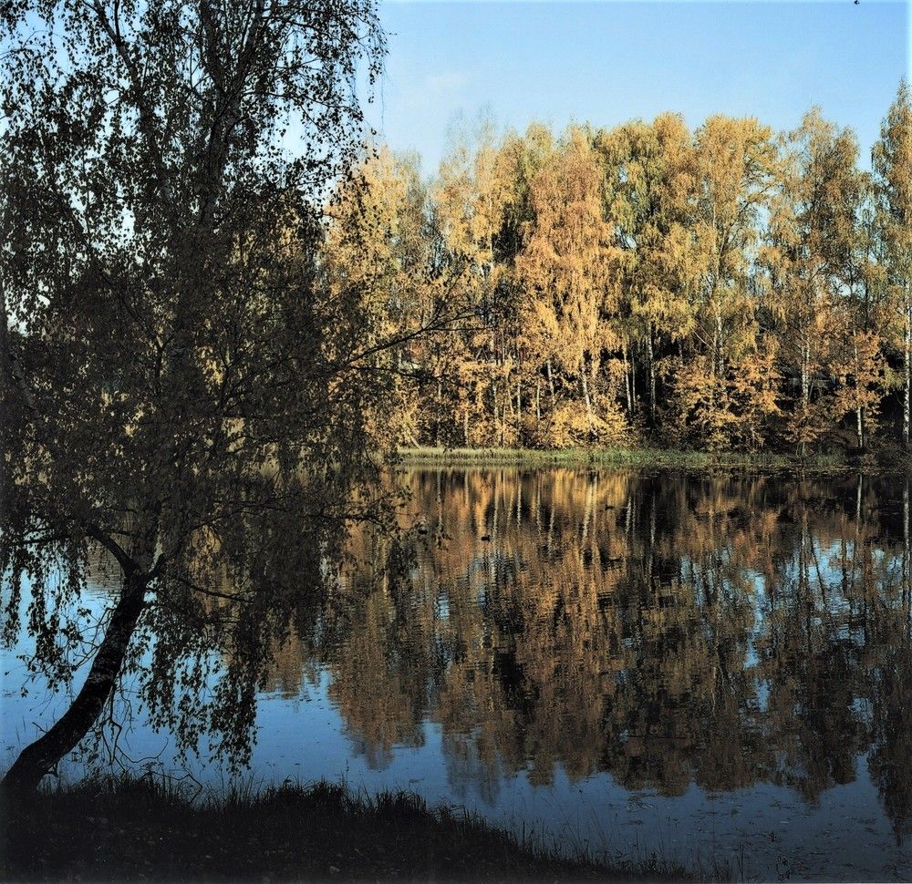 Золотой берег