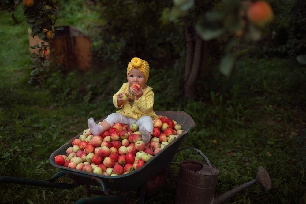 Кому яблочек?