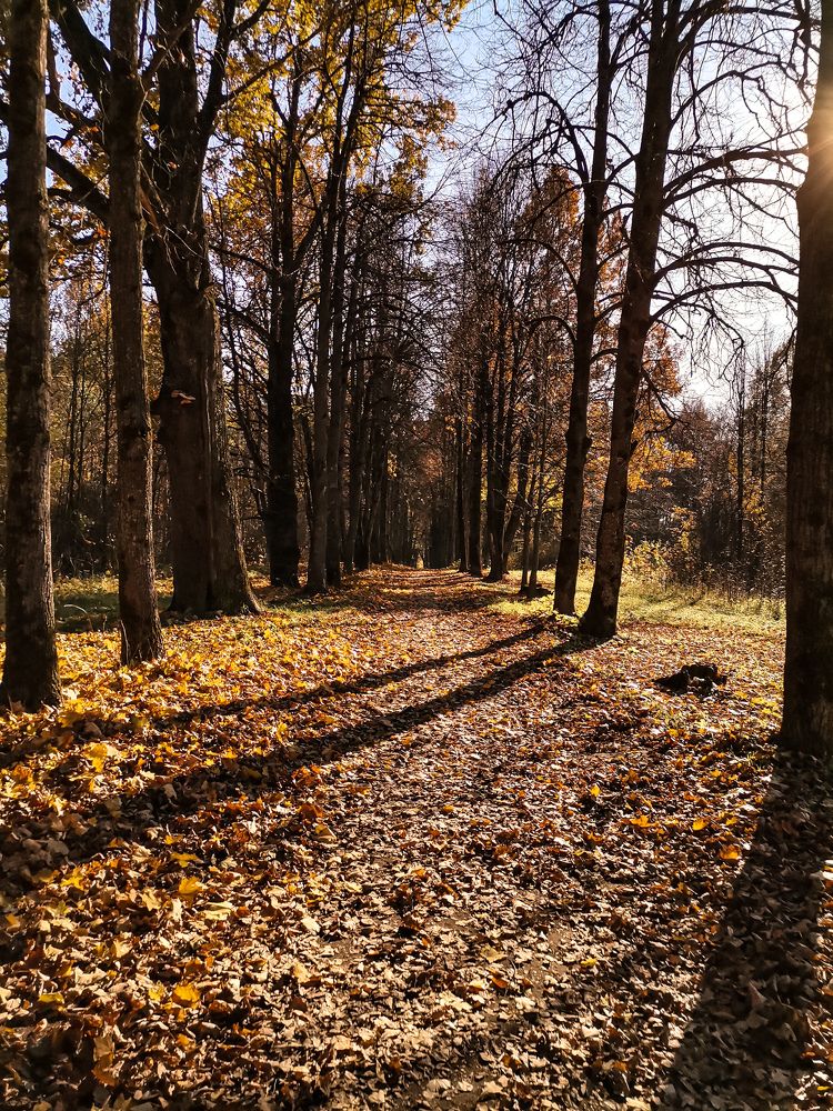 Photograph by Валерия