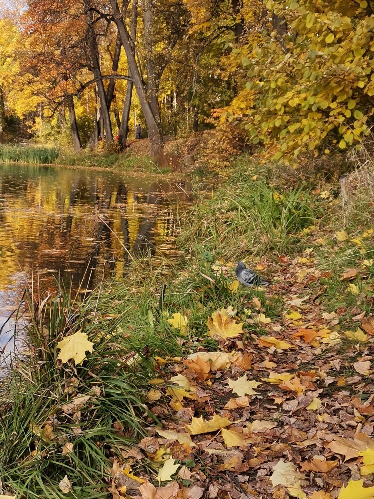 Photograph by Валерия