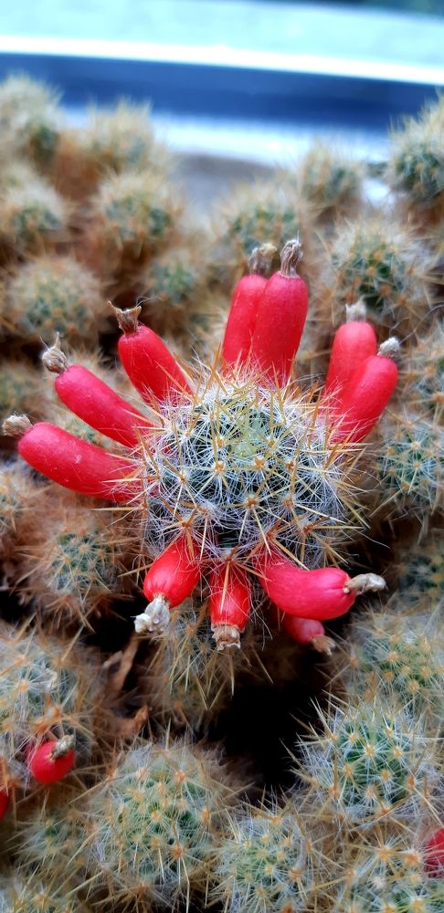 Фотография автора Ирина Лукьянчик