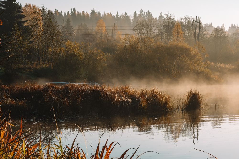 Photograph by Елена Копылова