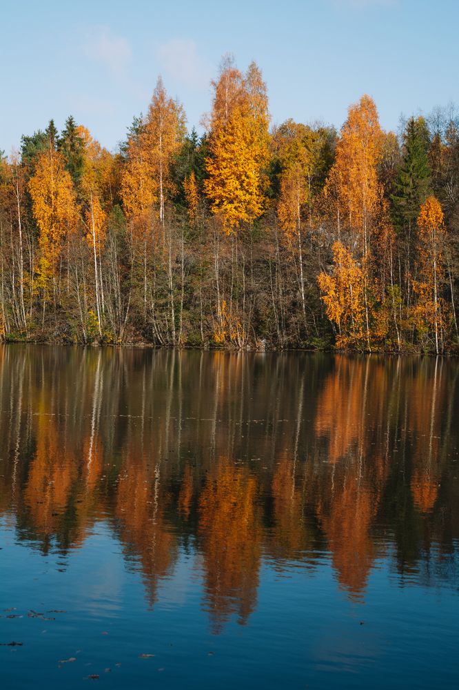 Photograph by Елена Копылова