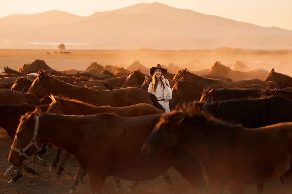 Табун лошадей