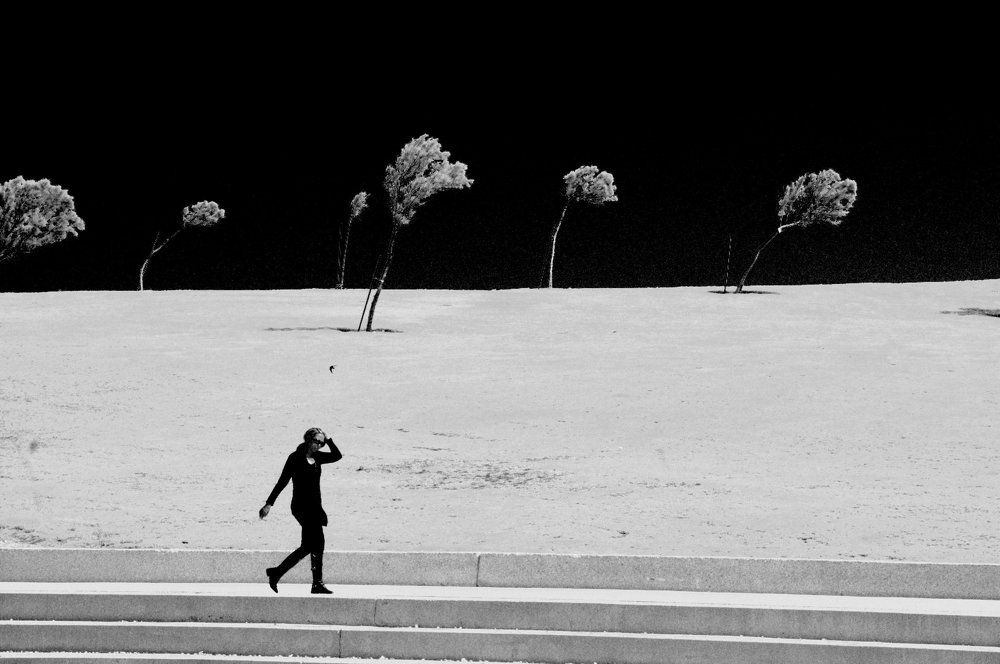 Photograph by David Idan