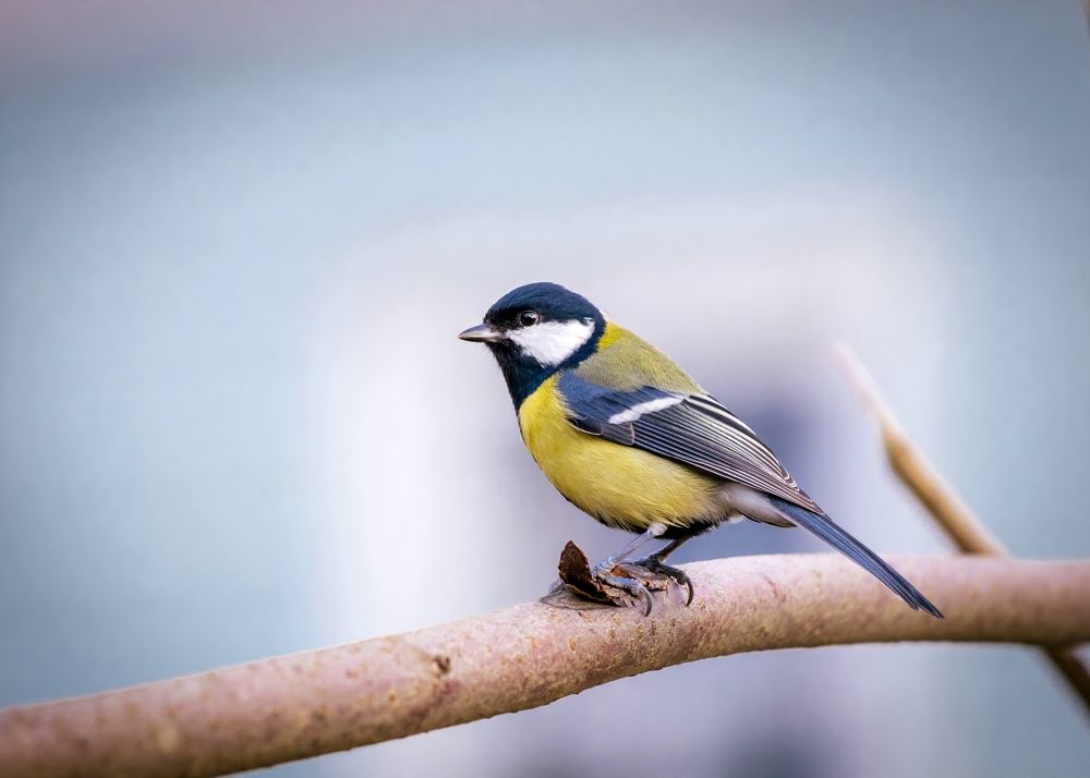 Photograph by Александр Титов