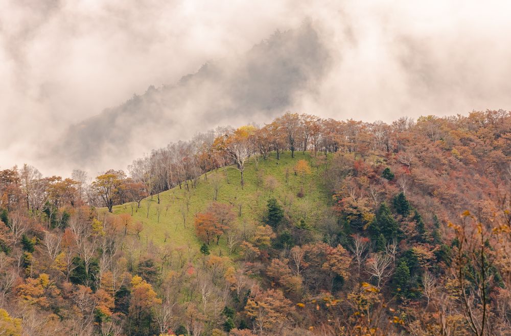 Photograph by ManhCuong Truong