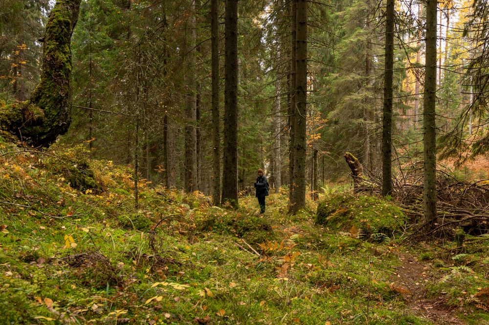 Photograph by Елена Копылова