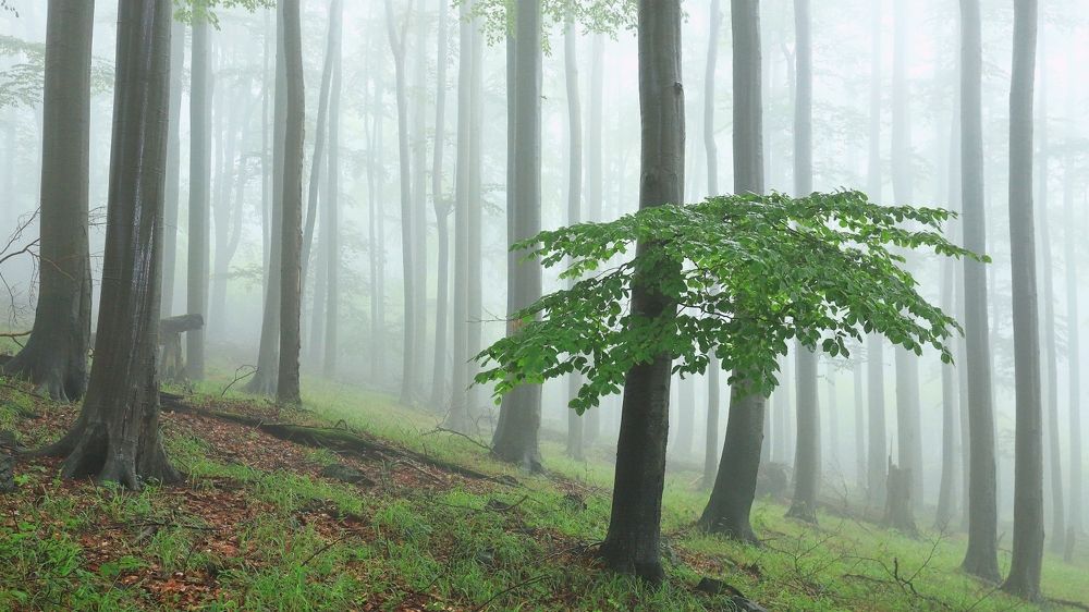 Фотография автора Michaela Vinterova