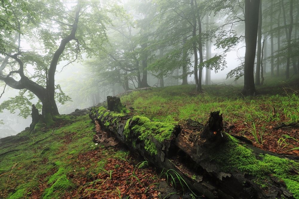 Фотография автора Michaela Vinterova