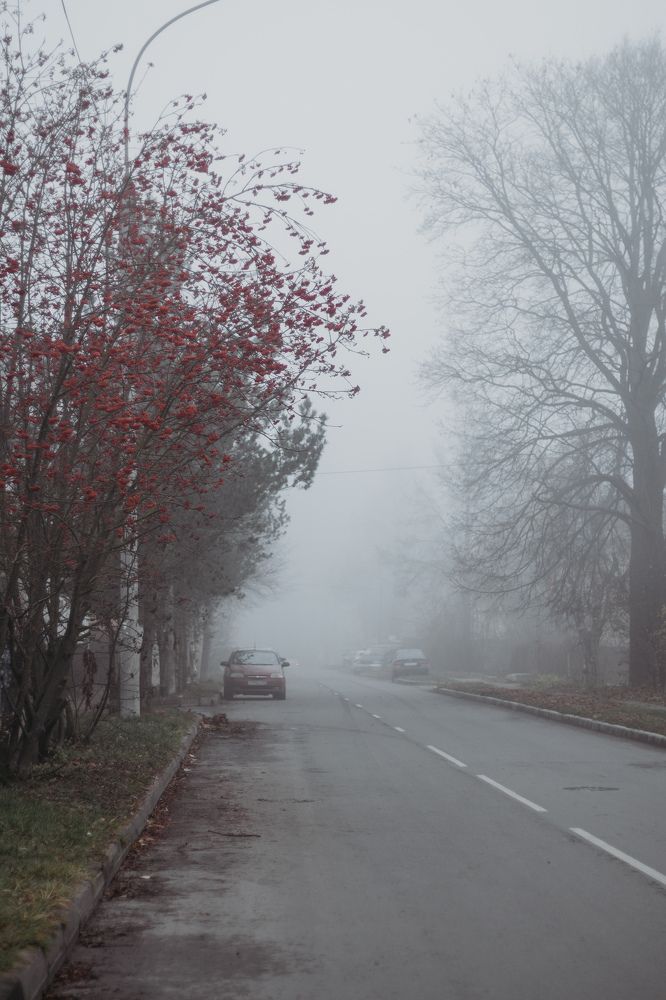Photograph by Людмила Безуглая