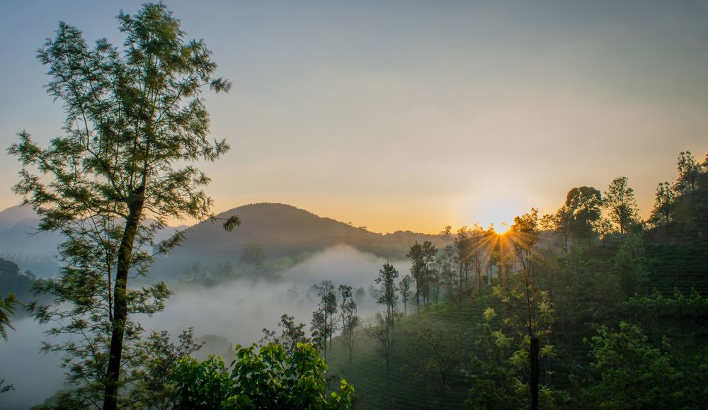 Photograph by Janakan Sritharan