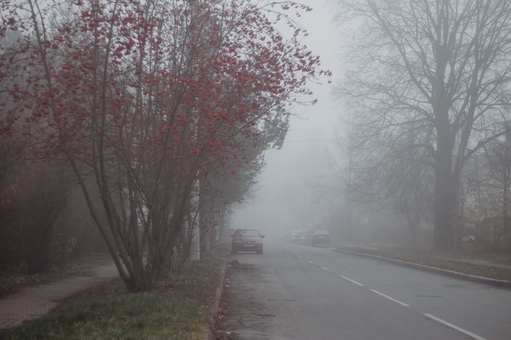 Photograph by Людмила Безуглая