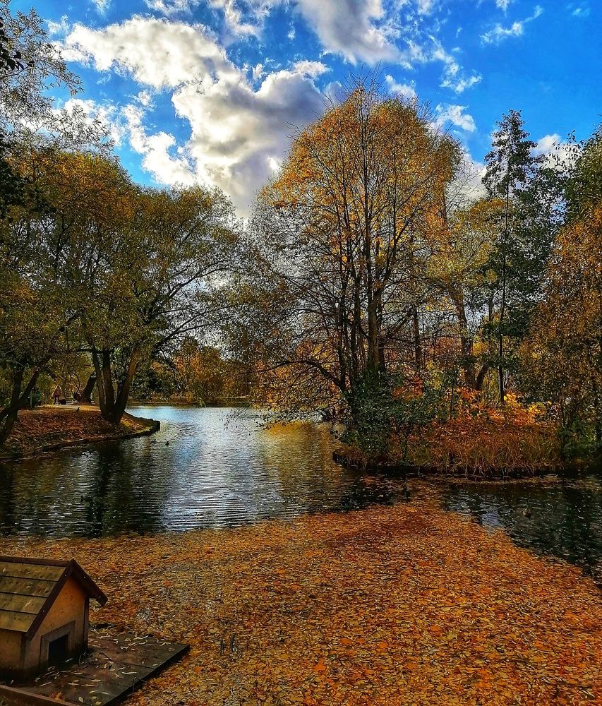 Photograph by Лилия Багдасарова