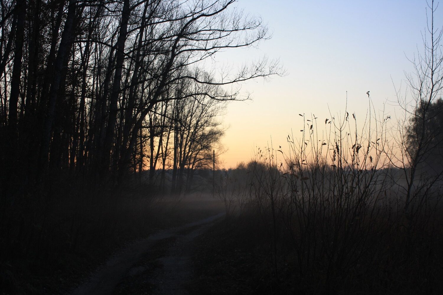 Photo #6707673