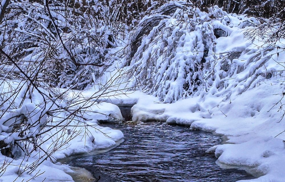 Photograph by Мальцева Ольга