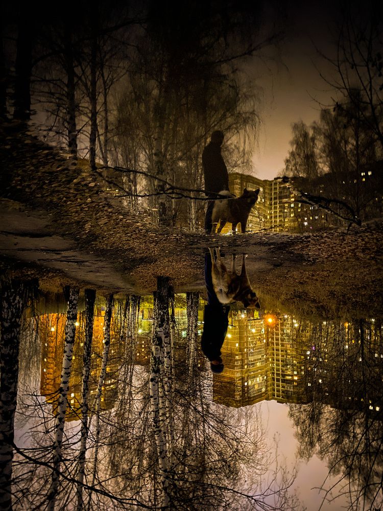 Photograph by Марина Урусова