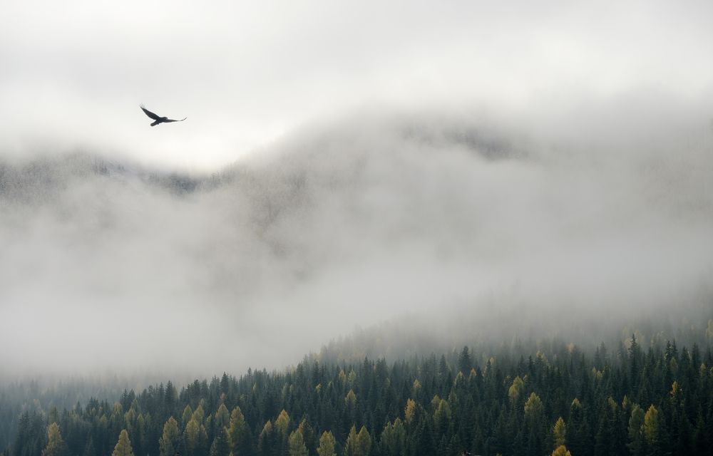 Photograph by Олег Иваницкий