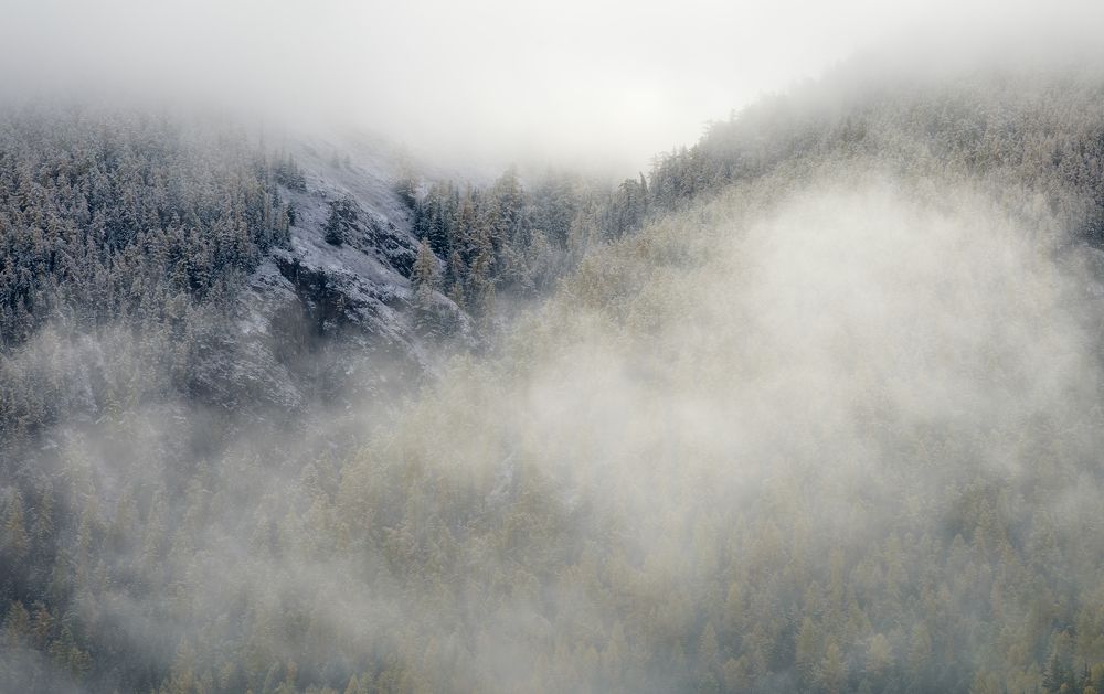 Photograph by Олег Иваницкий