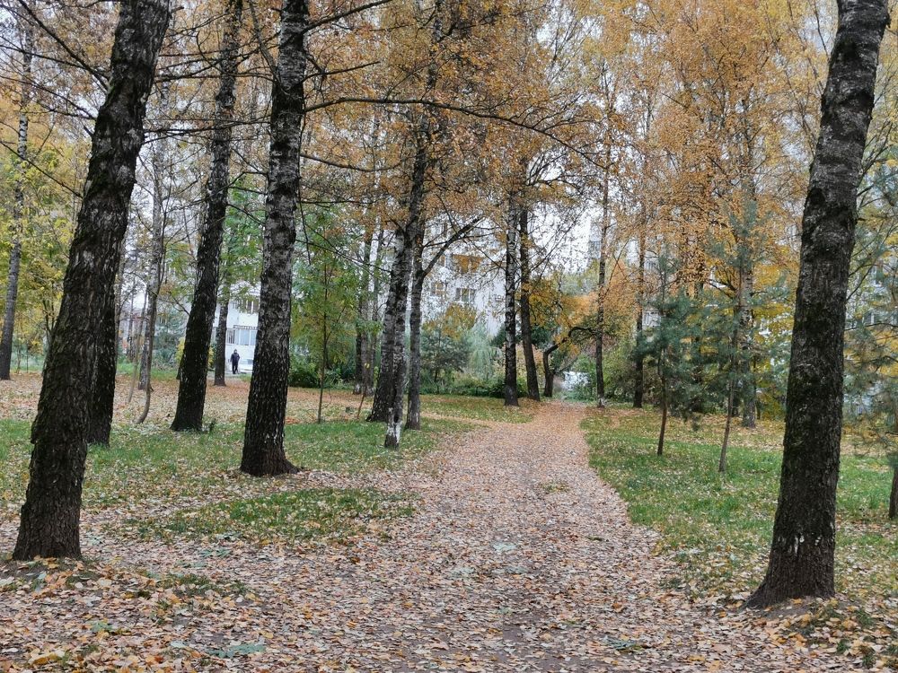 Photograph by Борис Баринов