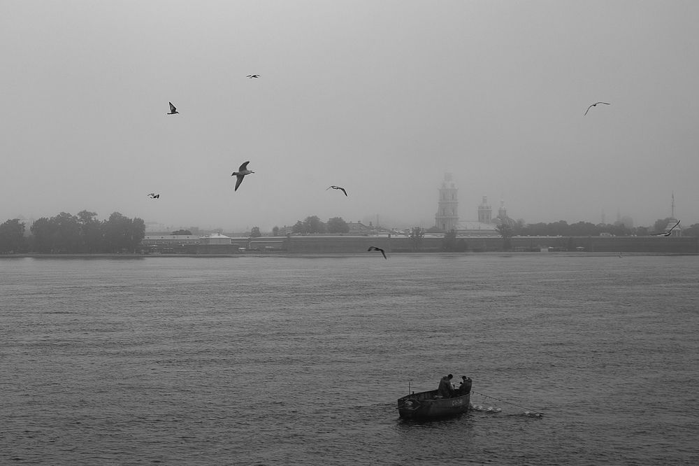 Photograph by ирина лебедева