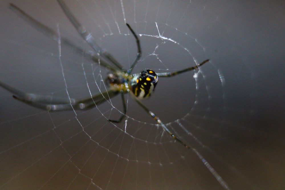 Фотография автора José Flávio Cavalcante Pinheiro Filho