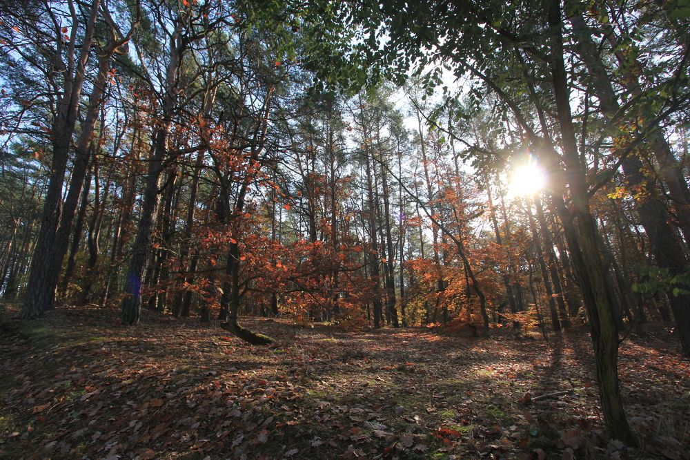 Photograph by Barbara