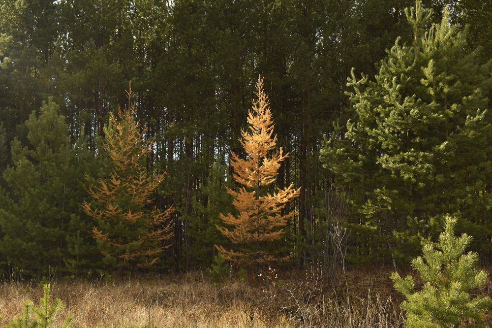 Photograph by Роман Пацкевич