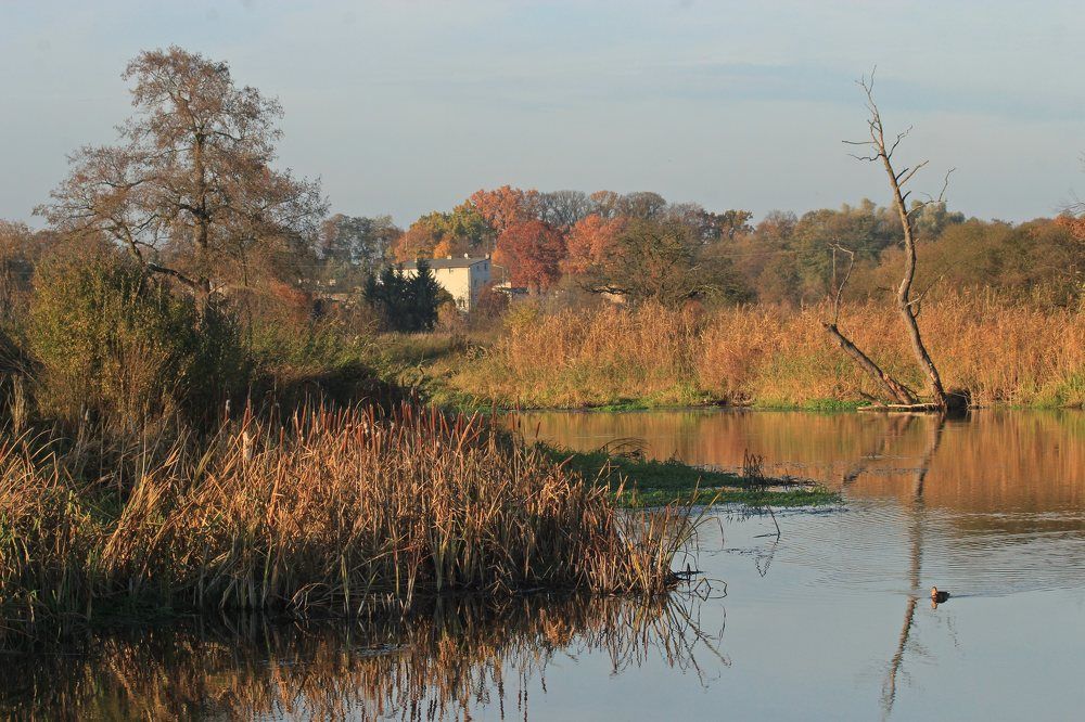 Photograph by Barbara