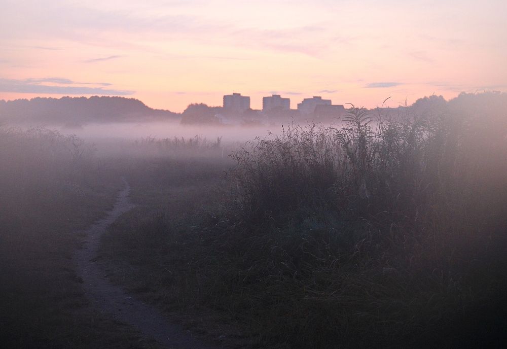 Photograph by Barbara