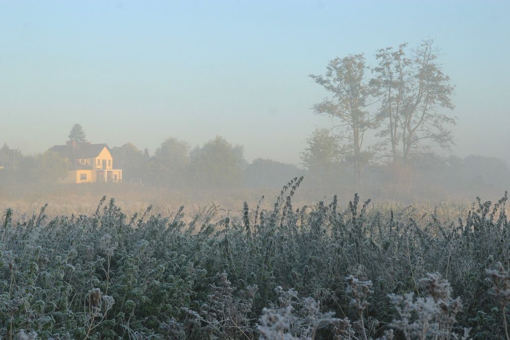 Photograph by Barbara