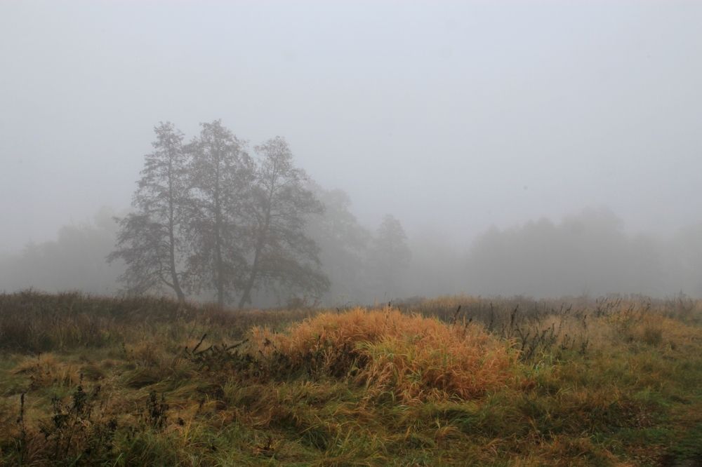 Photograph by Barbara