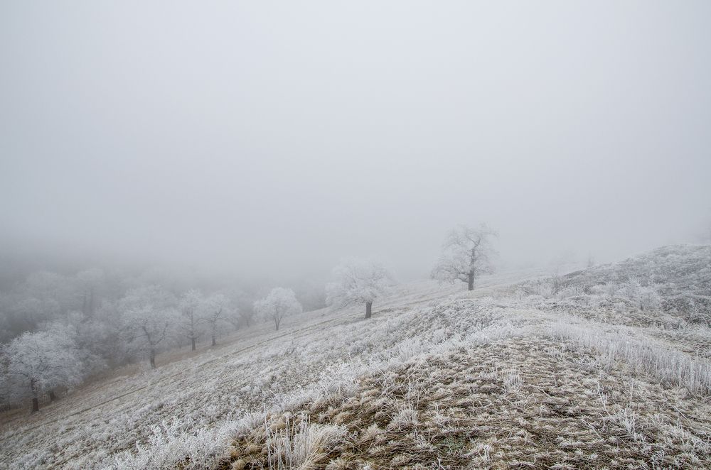 Фотография автора Vladislav Shilo