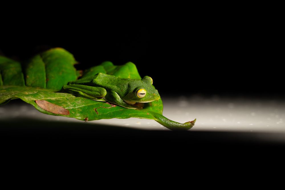 Photograph by T.M.ADITHYA SHRAVAN