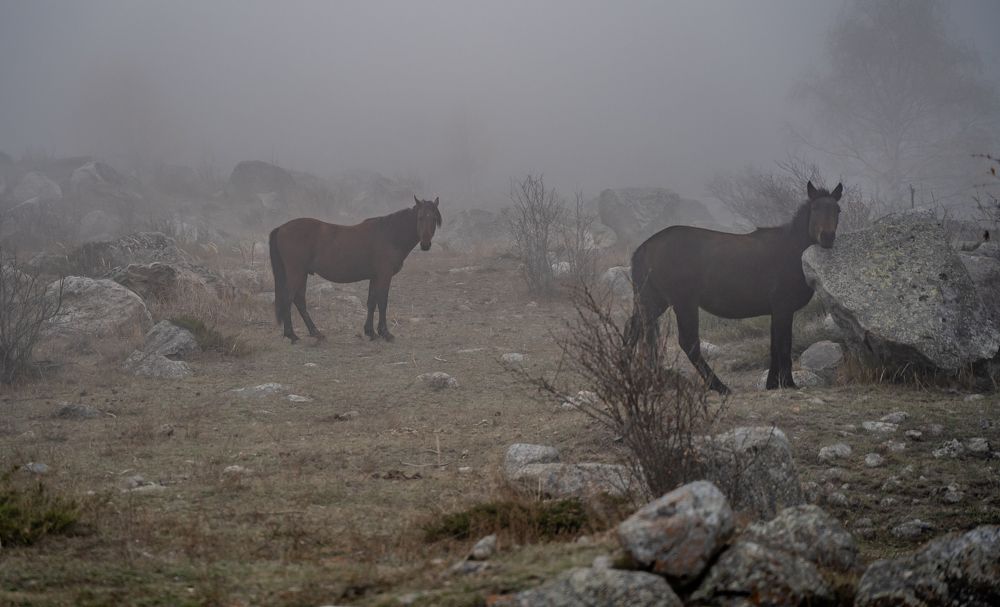 Photograph by Евгений Греков