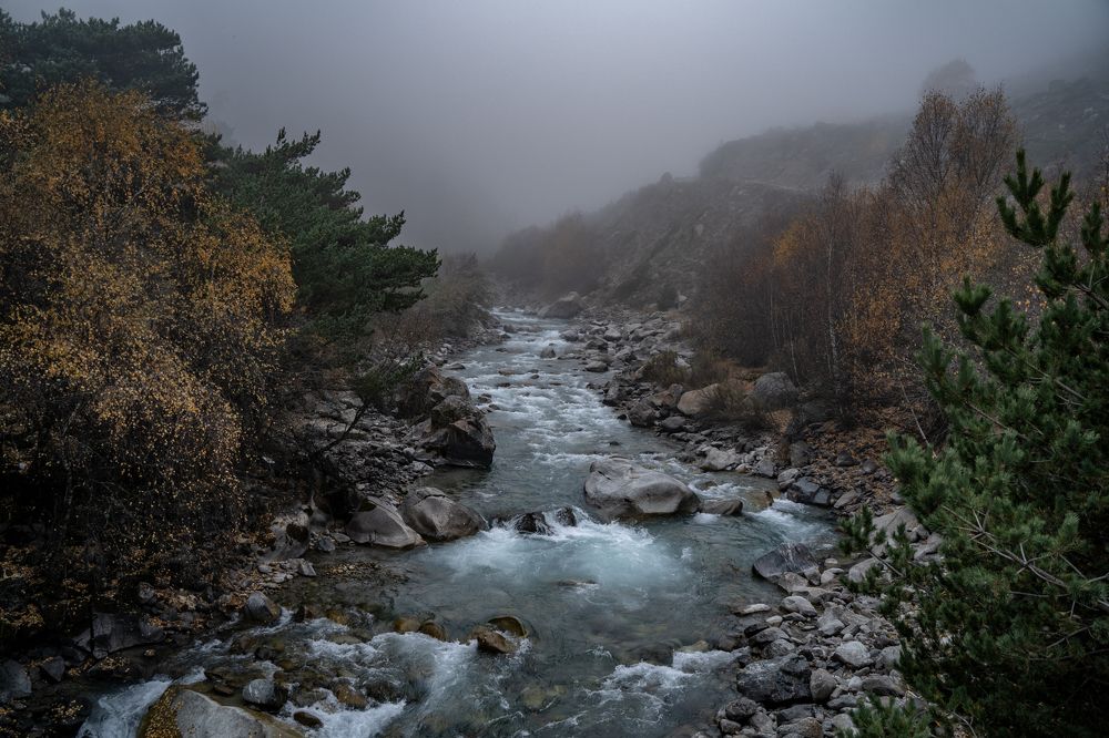 Photograph by Евгений Греков