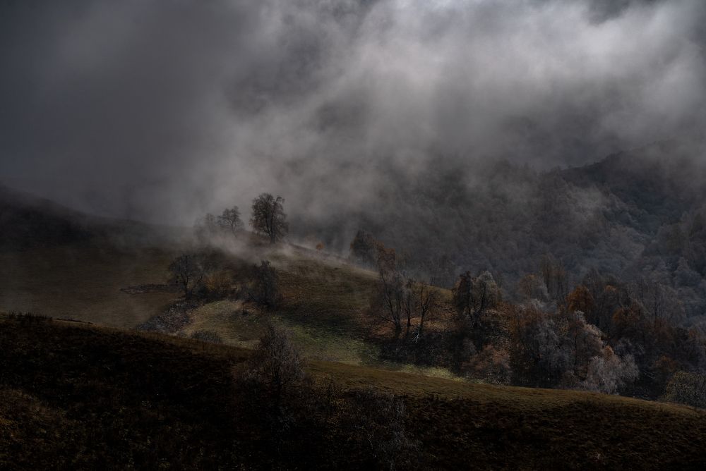 Photograph by Евгений Греков