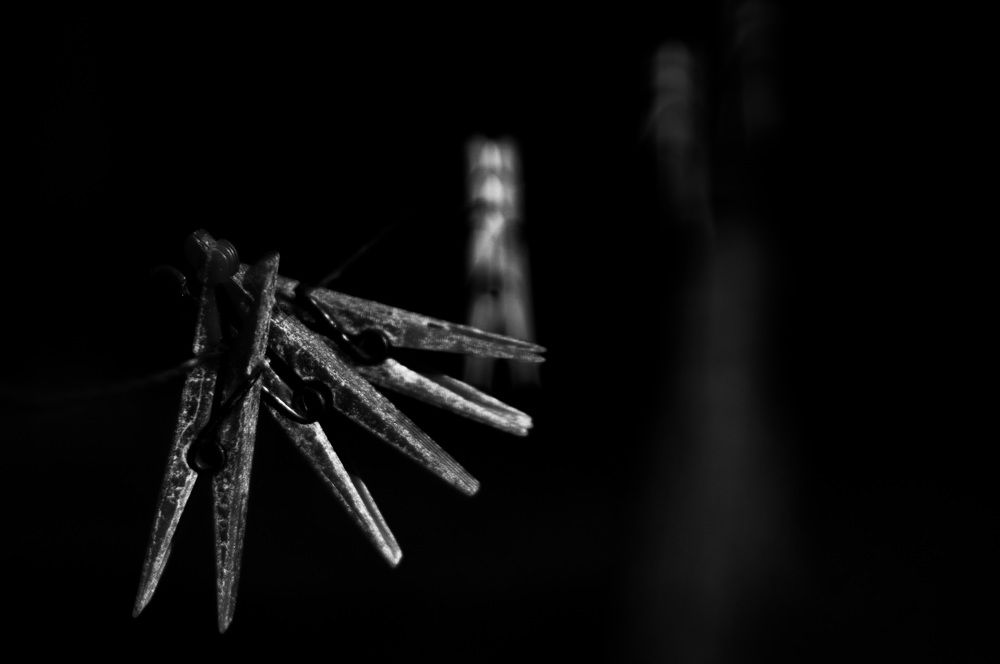 Photograph by Sreten Vitezović