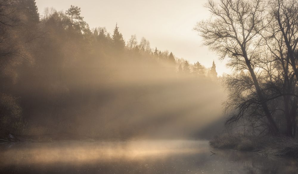 Photograph by Максим Мозжухин