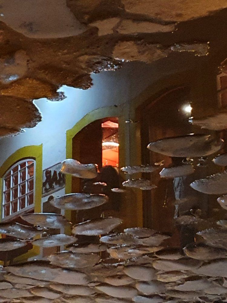 Photograph by ANTONIO LAFAIETE PAPAIANO