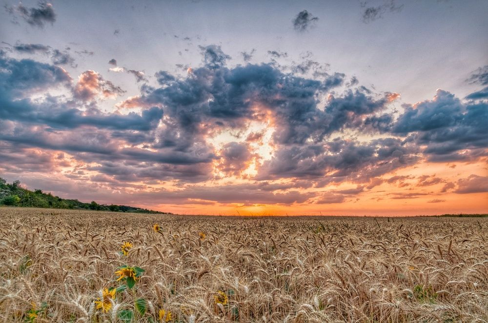 Фотография автора Vladislav Shilo