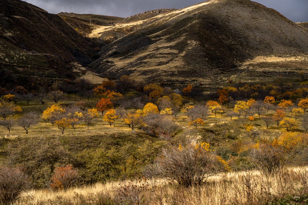 Хиповая осень